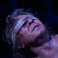 VIDEO: Get A First Look At Darko Tresnjak's SAMSON ET DALILA at The Met Video