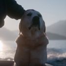 VIDEO: Watch the Official Trailer for Netflix Documentary Series DOGS