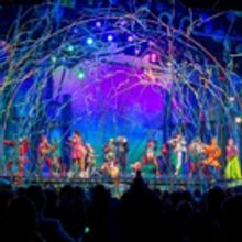Photo Coverage: The Best Day Ever! SPONGEBOB SQUAREPANTS Takes Opening Night Bows