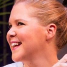 BWW Review: Steve Martin's Hilarious METEOR SHOWER is Undiluted Surrealist Vaudeville