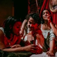 BWW Review: Shaking the Tree's _______ THE WOLF Explores the Imperative, and the Diff Photo