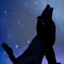 Shadow Show 3D – “Legends Of Ice And Flame”
