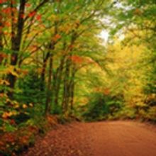 Small Towns Offer Big Charm on Prince Edward Island this Fall