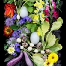 The Unique Art Of Ellen Hoverkamp Comes to The MAC