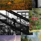 5 JEWISH PHOTOGRAPHERS FROM WESTERN NEW YORK - Group Photography Exhibit Comes to…
