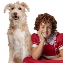Photo Flash: Check Out Promotional Photos From 5th Avenue Theatre's ANNIE