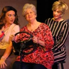 The Off Broadway Palm Presents MAMA WON'T FLY