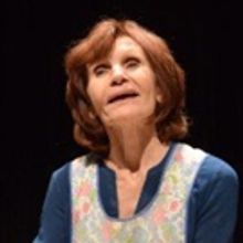 Centenary Stage Company Continues The NNPN Rolling World Premiere Of APPLES IN WINTER