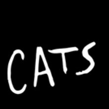 Casting Announced for CATS in Austria