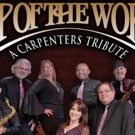 Patchogue Theatre Presents Carpenters Tribute TOP OF THE WORLD