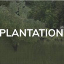 VIDEO: Take a Look at Some First Rehearsal Footage for Plantation! at Lookingglass Th