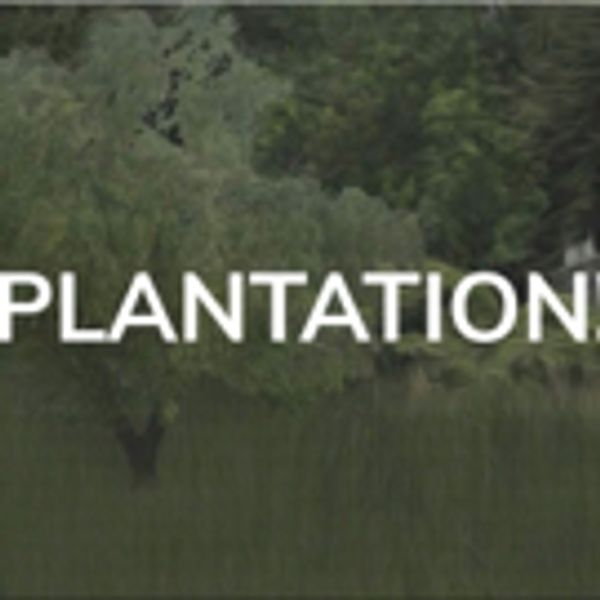 VIDEO: Take a Look at Some First Rehearsal Footage for Plantation! at Lookingglass Theatre - Chicago Theater Video