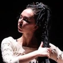 BWW Review: LA FRESQUE Fantasizes at Zorlu Center PSM
