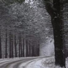 Alley Cat Theater's John Greiner-Ferris Awarded Two Grants for New Play