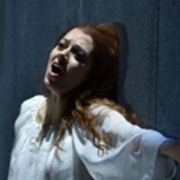 BWW Review: No Heart on the Sleeve of WRITTEN ON SKIN at Opera Philadelphia Photo