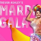 Cher Tribute To Join TREVOR ASHLEY'S MARDI GALA