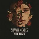 Shawn Mendes Announces 2019 Global Arena Tour Dates