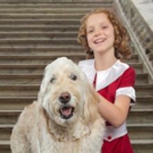 ANNIE to Open at Artisan Center Theater Next Week