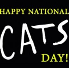 Keri Rene Fuller, Dan Hoy & More Will Lead CATS National Tour!