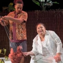 BWW Review: STILL LIFE WITH CHICKENS at Mangere Arts Centre