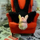 Leslie Jordan Returns to Feinstein's at the Nikko with EXPOSED