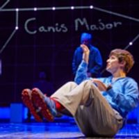 BWW Review: Mirvish's THE CURIOUS INCIDENT OF THE DOG IN THE NIGHT-TIME is a Surreal Photo