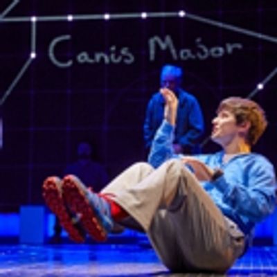 BWW Review: Mirvish's THE CURIOUS INCIDENT OF THE DOG IN THE NIGHT-TIME is a Surreal Visual Feast