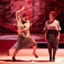 BWW Review: AVIGNON THEATRE FESTIVAL Presents GRITO PELAO by COMPAGNIE ROCÍO MOLINA