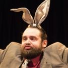 BWW Review: NOBODY BUNNY IN THE GOLDEN AGE OF ANIMATION at Theatre [502]