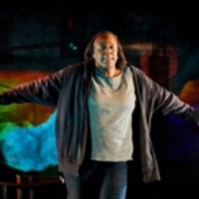 The Goodman to Examine the Ferguson Unrest and Aftermath in Two Plays