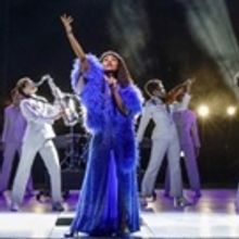 Review Roundup: Did the Critics Think SUMMER Was Hot Stuff? Read the Reviews!