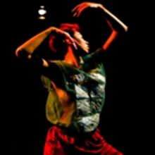 BWW Review: Kevin Willliamson + Company's GNARLED Gives The Human Form New Meanings A