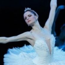 SWAN LAKE Comes To Estonian National Opera Next Month
