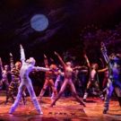 Happy Tails: CATS Takes Final Jellicle Pounce on Broadway Tonight!