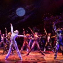 Happy Tails: CATS Takes Final Jellicle Pounce on Broadway Tonight!
