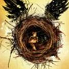 Win 2 Tickets to HARRY POTTER & THE CURSED CHILD And A Meet and Greet