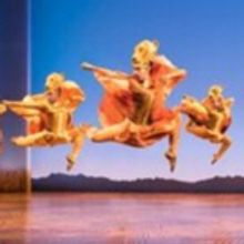 BWW Review: An Awe-Inspiring LION KING at SHEA'S BUFFALO Theatre