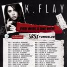 K. Flay Announces Additional North American and European Tour Dates for 2018