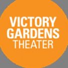 Victory Gardens Presents Town Hall: #NEVERAGAINCHICAGO To End Gun Violence