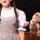 BWW Review: WIZARD OF OZ at The Playhouse