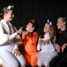BWW Review: THE ARISTOCATS KIDS at Theatre Royal Nelson