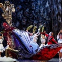 Shumka's NUTCRACKER Returns This Season