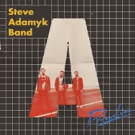 Dirtnap Records Announces New Steve Adamyk Band LP/Tour and Unveils First Track