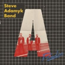 Dirtnap Records Announces New Steve Adamyk Band LP/Tour and Unveils First Track
