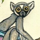 LEMUR MOM Comes to Whitefire Theatre Solofest 2019