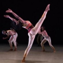 BWW Review: Turning Up The Heat With AILEY II