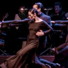 BWW Review: TANGUEROS DEL SUR PRESENTS ROMPER EL PISO - A PURE TANGO TREAT at The You
