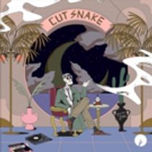 Insomniac Records Presents Cut Snake - 'Dr. Um / Party Tutorial' EP