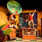 Photo Flash: First Look at Rivertown's LITTLE SHOP OF HORRORS