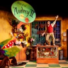 Photo Flash: First Look at Rivertown's LITTLE SHOP OF HORRORS